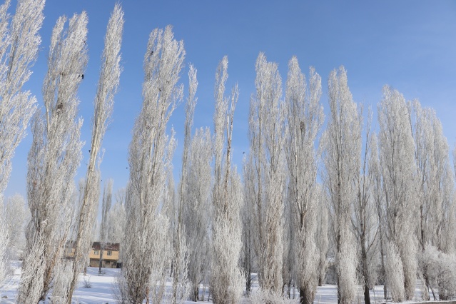 Ağrı'da dondurucu soğuklar martta da etkisini sürdürüyor 14