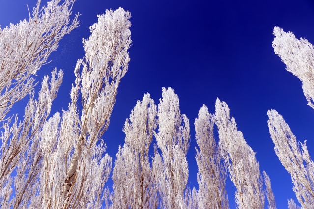 Ağrı'da dondurucu soğuklar martta da etkisini sürdürüyor 25