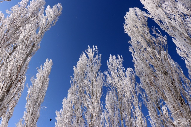 Ağrı'da dondurucu soğuklar martta da etkisini sürdürüyor 17