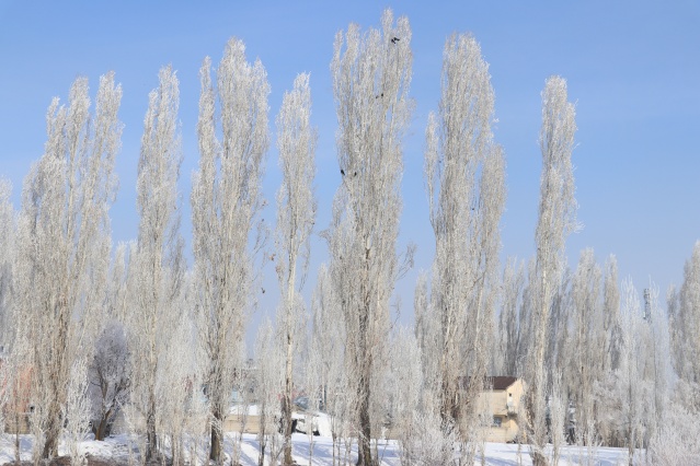 Ağrı'da dondurucu soğuklar martta da etkisini sürdürüyor 12