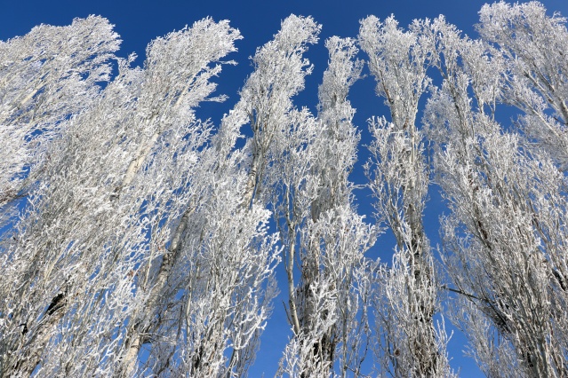 Ağrı'da dondurucu soğuklar martta da etkisini sürdürüyor 28
