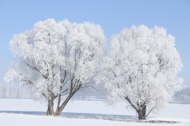 Ağrı'da dondurucu soğuklar martta da etkisini sürdürüyor 15