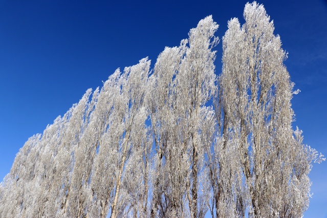 Ağrı'da dondurucu soğuklar martta da etkisini sürdürüyor 26
