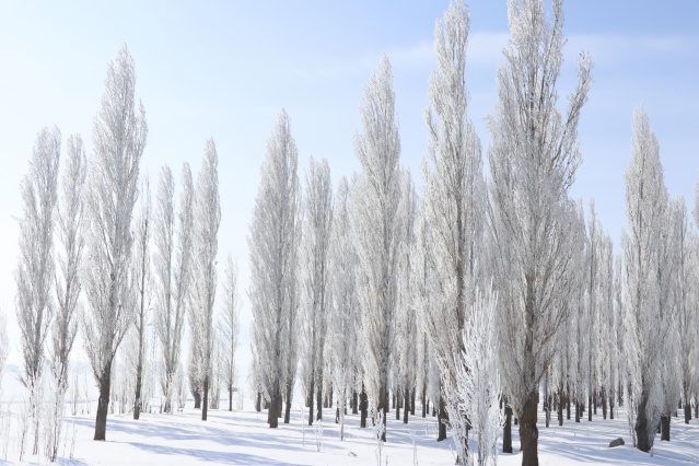 Ağrı'da dondurucu soğuklar martta da etkisini sürdürüyor 11