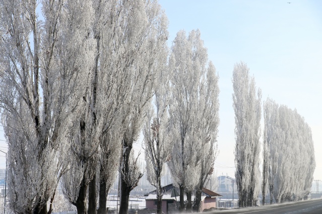 Ağrı'da dondurucu soğuklar martta da etkisini sürdürüyor 23