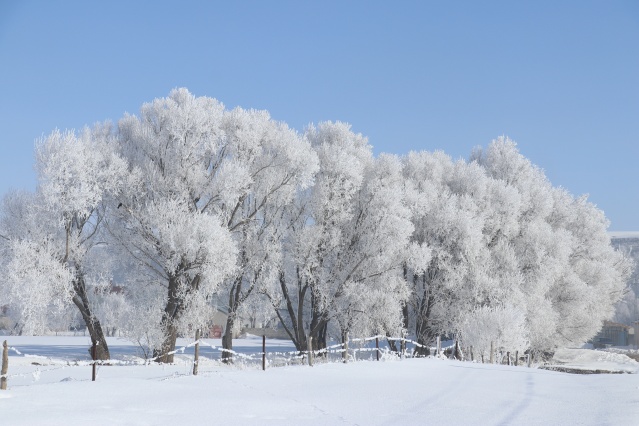 Ağrı'da dondurucu soğuklar martta da etkisini sürdürüyor 10