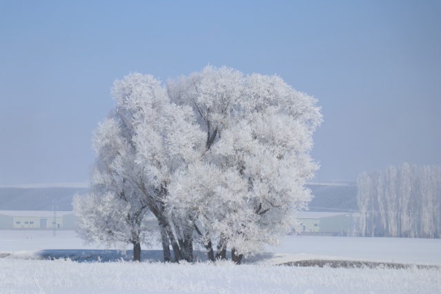 Ağrı'da dondurucu soğuklar martta da etkisini sürdürüyor 5