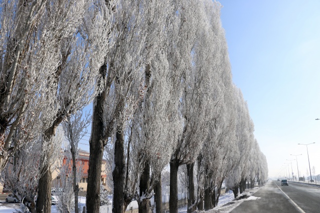 Ağrı'da dondurucu soğuklar martta da etkisini sürdürüyor 24