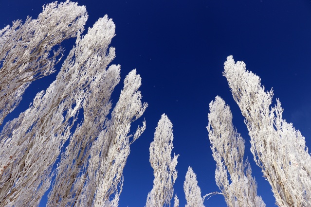 Ağrı'da dondurucu soğuklar martta da etkisini sürdürüyor 22