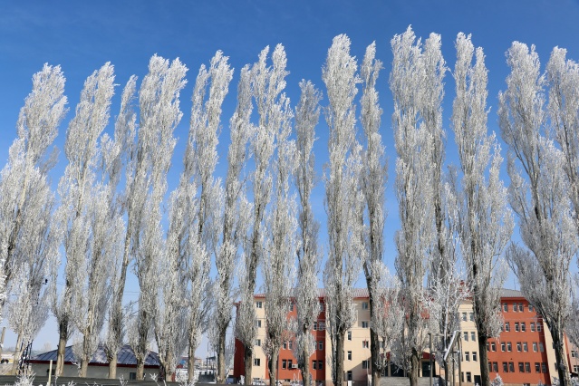 Ağrı'da dondurucu soğuklar martta da etkisini sürdürüyor 27