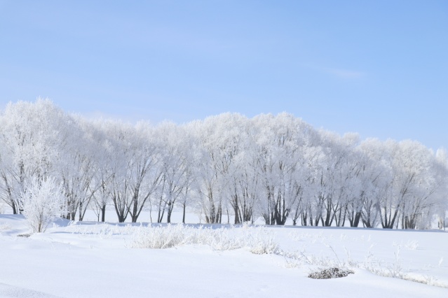 Ağrı'da dondurucu soğuklar martta da etkisini sürdürüyor 2