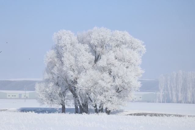 Ağrı'da dondurucu soğuklar martta da etkisini sürdürüyor 4