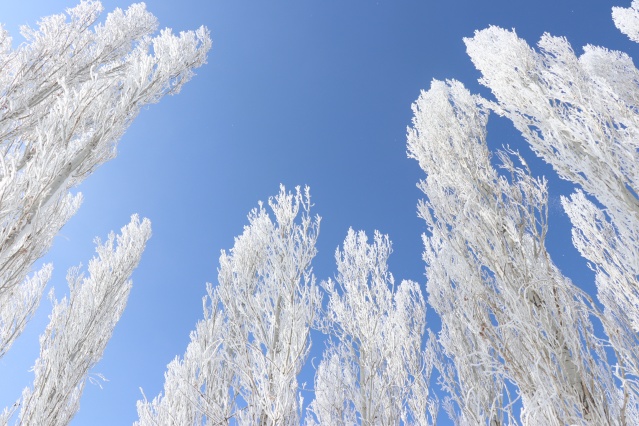 Ağrı'da dondurucu soğuklar martta da etkisini sürdürüyor 8