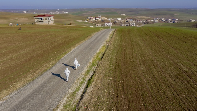 Kovid-19,  "küresel salgın" ilanının yıl dönümü 31