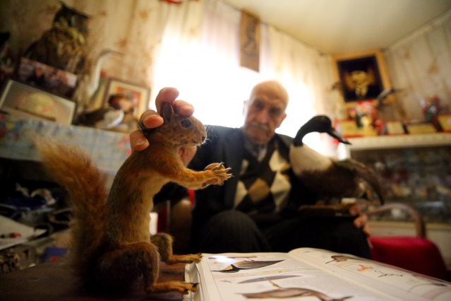 Kırklareli'nde "kuşçu dayı" olarak bilinen tahnit ustası,  61 yılda bine yakın hayvanı doldurdu 6