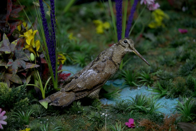 Kırklareli'nde "kuşçu dayı" olarak bilinen tahnit ustası,  61 yılda bine yakın hayvanı doldurdu 8