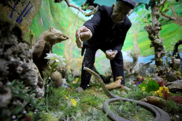 Kırklareli'nde "kuşçu dayı" olarak bilinen tahnit ustası,  61 yılda bine yakın hayvanı doldurdu 17