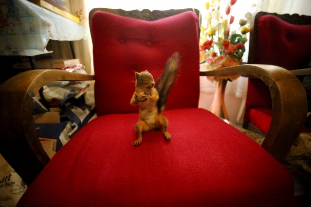 Kırklareli'nde "kuşçu dayı" olarak bilinen tahnit ustası,  61 yılda bine yakın hayvanı doldurdu 16