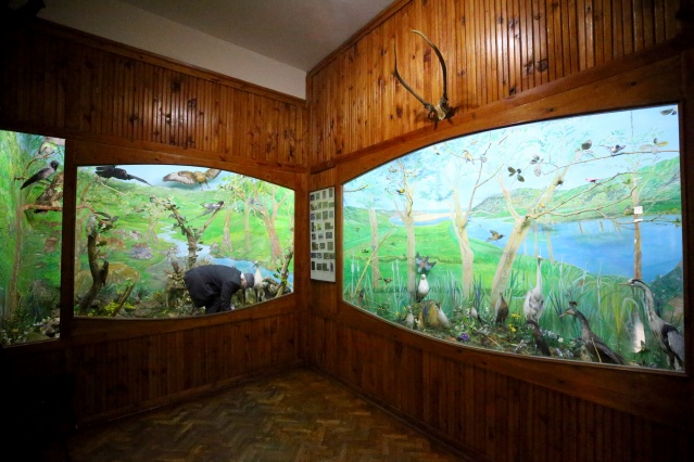 Kırklareli'nde "kuşçu dayı" olarak bilinen tahnit ustası,  61 yılda bine yakın hayvanı doldurdu 19