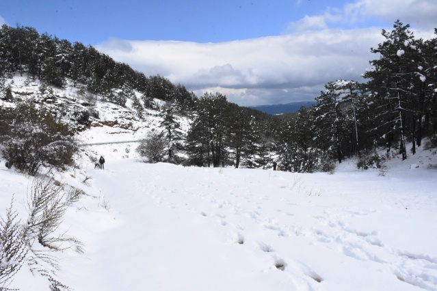 Muğla'nın yüksek kesimlerine kar yağdı 2
