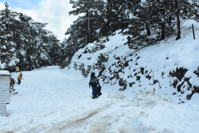 Muğla'nın yüksek kesimlerine kar yağdı 8