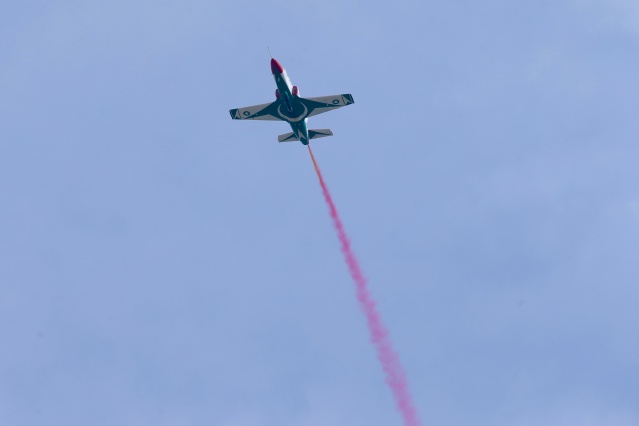 Pakistan Milli Günü'nde askeri geçit töreni 29