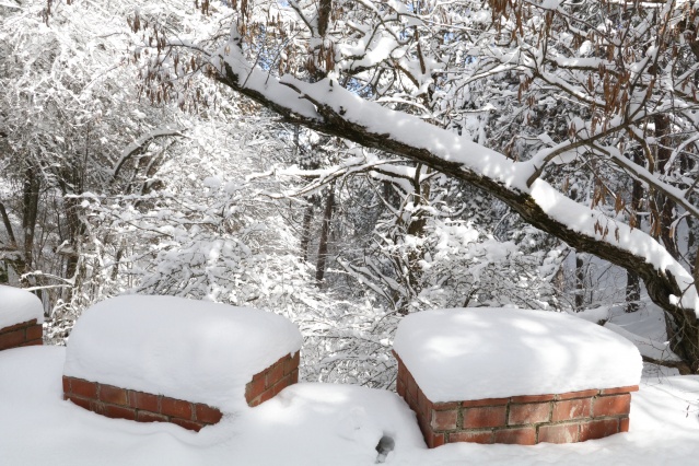 Türkiye'nin ilk milli parkı Çamlık Milli Parkı'nda kar yağışı 3