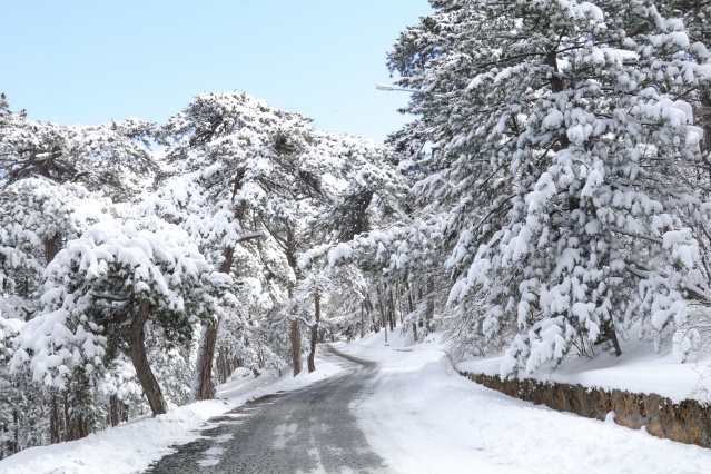 Türkiye'nin ilk milli parkı Çamlık Milli Parkı'nda kar yağışı 4
