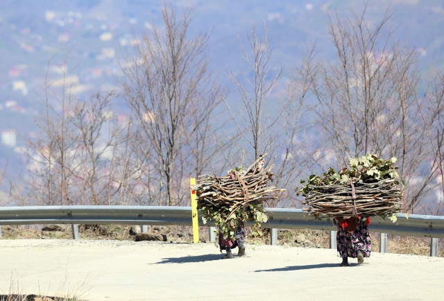 Doğu Karadenizli kadınların sabah başlayan yorucu mesaisi 3
