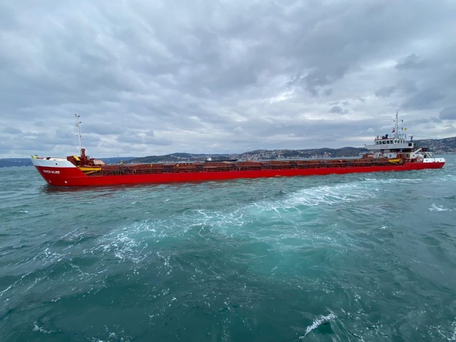 İstanbul Boğazı'nda yük gemisi makine arızası nedeniyle demirledi 3