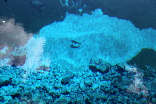 Sivas'ın "doğal akvaryumu" Gökpınar Gölü her mevsim ziyaretçilerini ağırlıyor 1