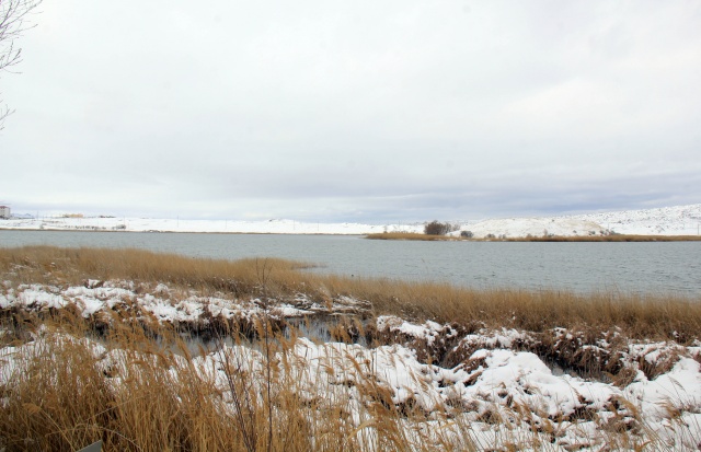 Sivas'ta kar yağışı 7