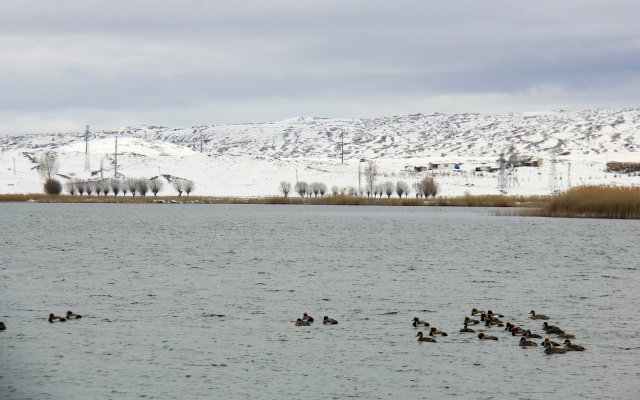 Sivas'ta kar yağışı 5