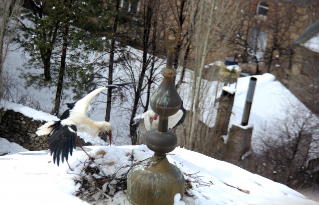 Sivas'ta kar yağışı 3