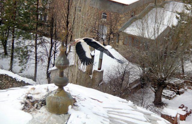 Sivas'ta kar yağışı 10