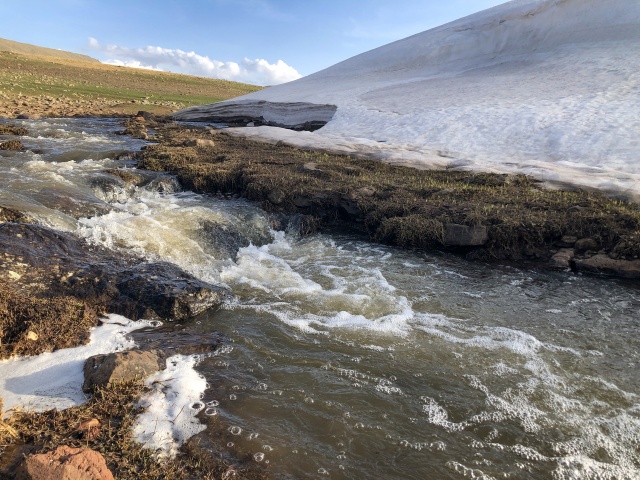 Aras Dağları karların erimesiyle renklendi 12