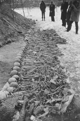 Bilimsel kazılarla Ermeni çetelerinin katliamları 15