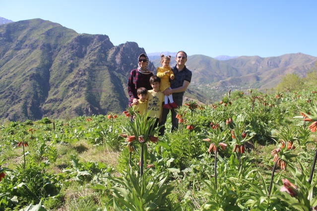 Hakkari dağlarında açan ters laleler görsel şölen sunuyor 8