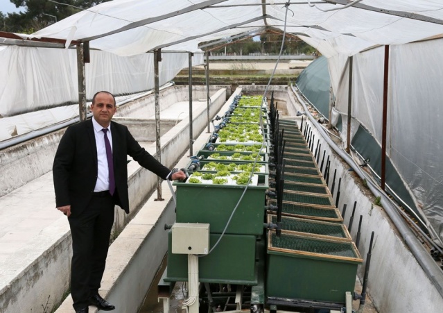 Aynı suda hem balık hem sebze üretiliyor 5