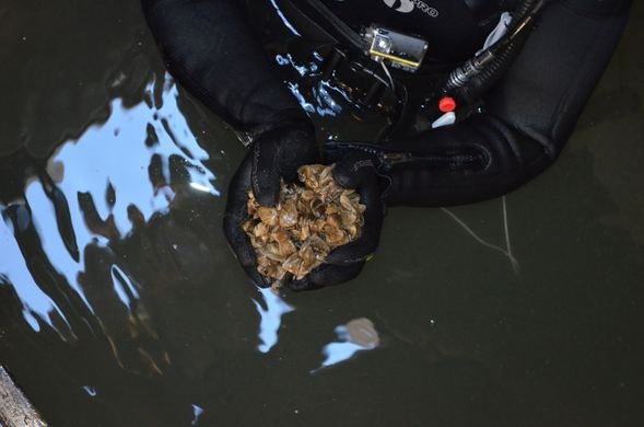 Tedirginlik yaratan konuya bakanlık el attı 5