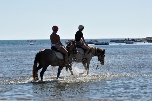 Turistlerden atlı safari turuna büyük ilgi 3