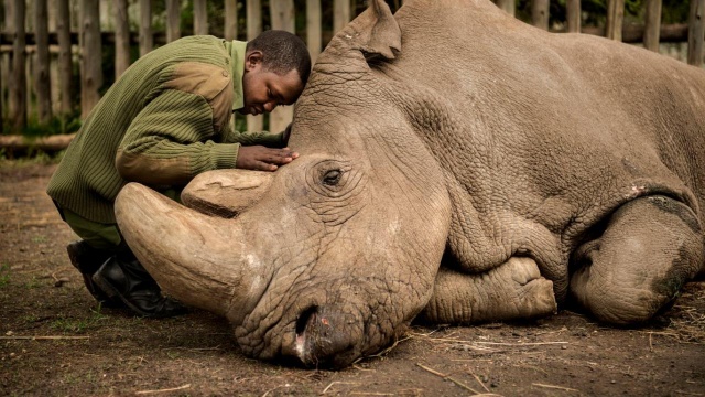 2020 'Yılın Doğa Fotoğrafları' belli oldu 6