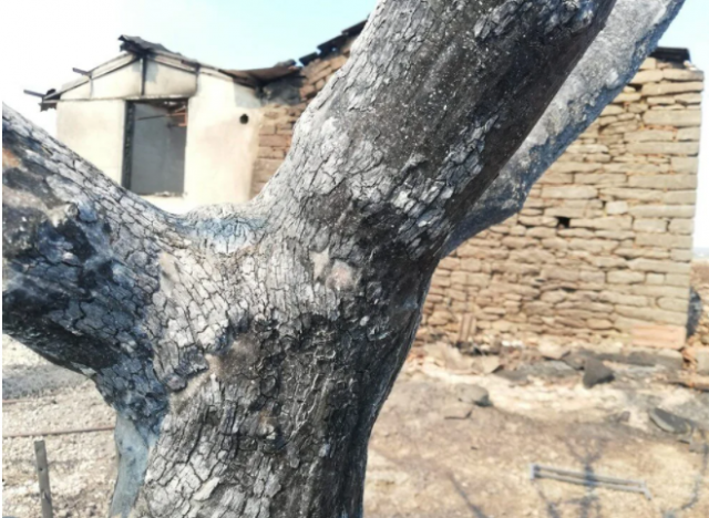 Küllerin arasından topladılar: Yangından geriye kalanlar 9