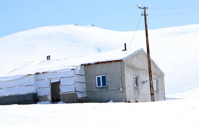 Bu köy adının hakkını veriyor: Evler,  ahırlar hatta ağaçlar bile kara gömüldü 2