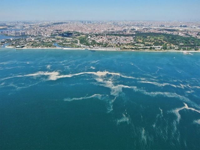 İstanbul sahillerinde kilometrelerce müsilaj hattı 3