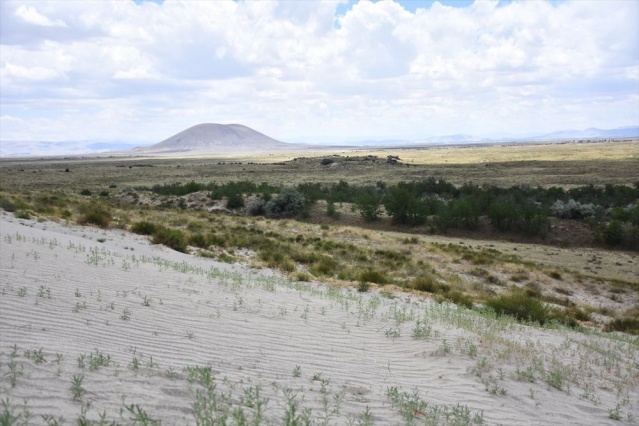 Dünyada ilk örnek: Yeşeren çöl Karapınar 2