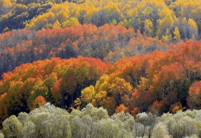 Ölen AA muhabirinden geriye bu fotoğraflar kaldı 9
