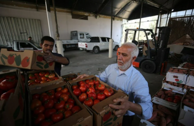 İsrail'in kararına tepki: Domates sapını tehdit gördüler 7