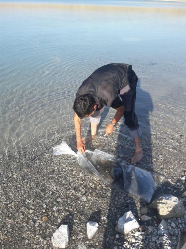 On binlerce yavru zaman göle bırakıldı 5