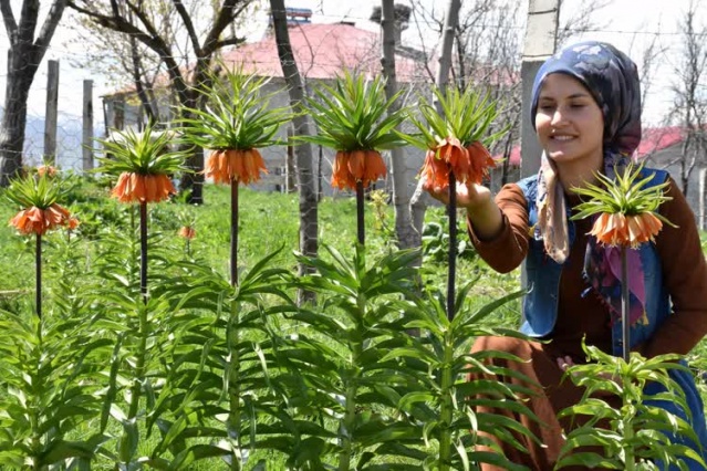 Muş'ta "Ağlayan gelin"in görsel şöleni 2